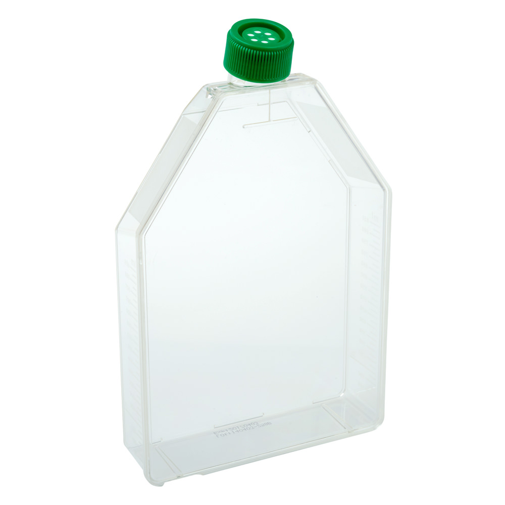 300cm2 Tissue Culture Flask – Vent Cap, Sterile