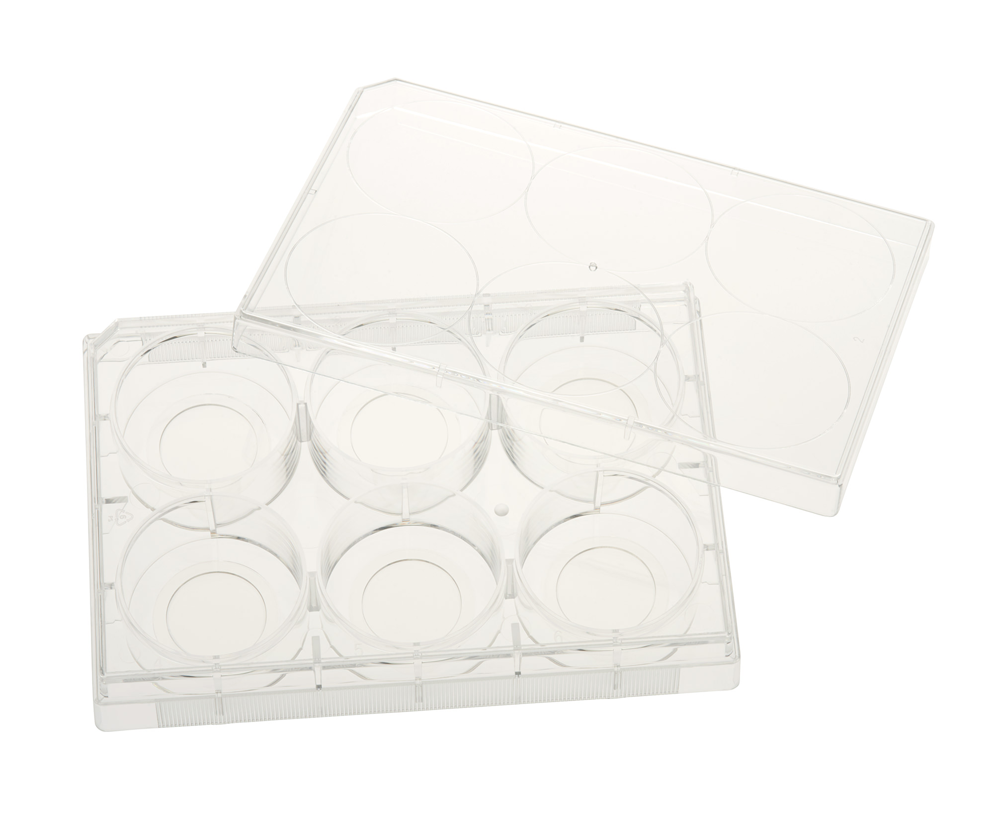 Multiple Well Plates – TCT, Glass Bottom