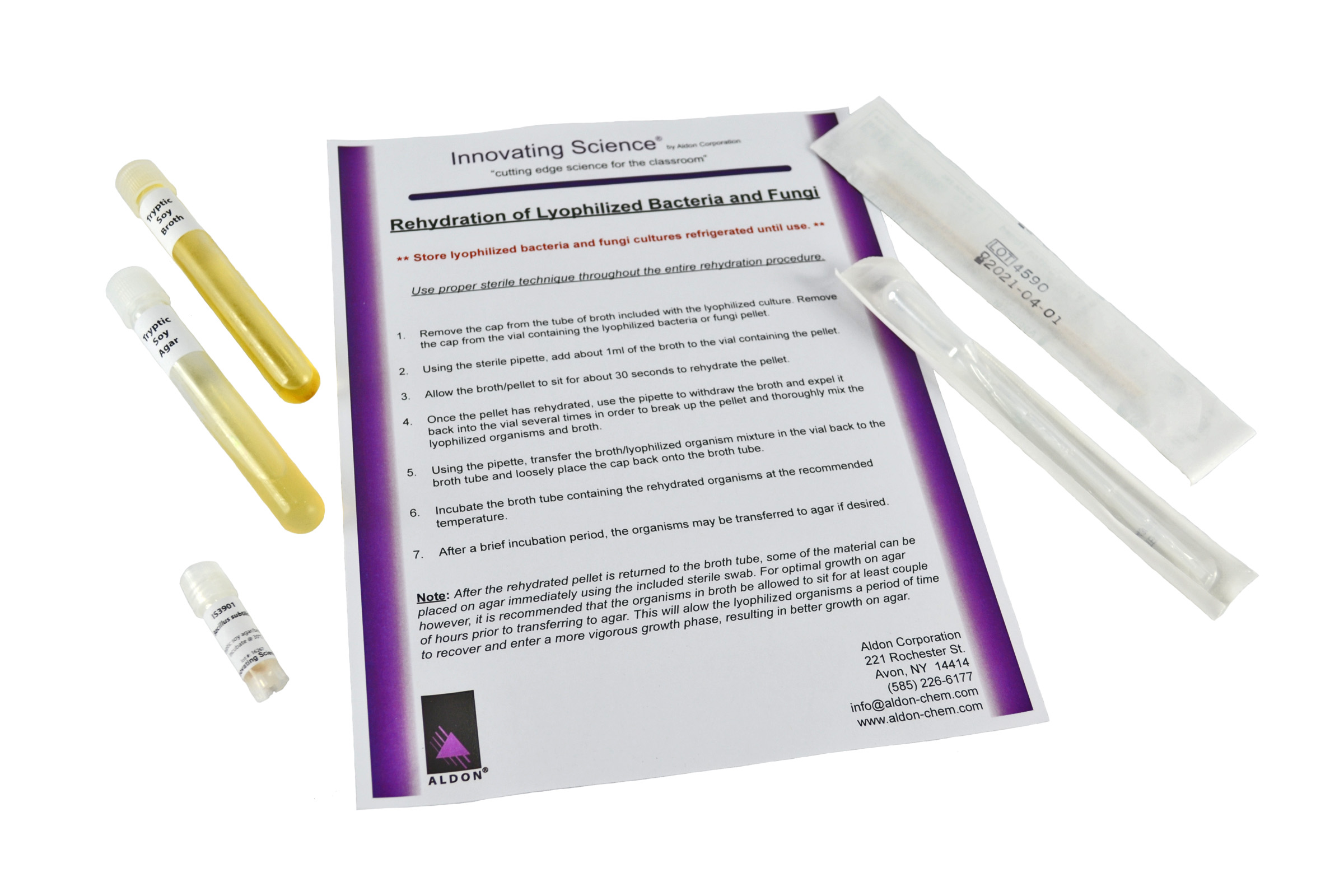 Bacillus Subtilis Freeze Dried Culture With Transfer Media