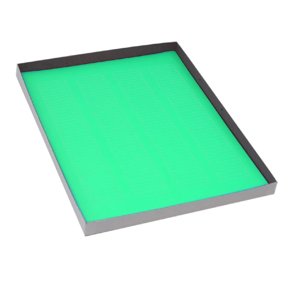 Label Sheets, Cryo, 38x6mm, for Microplates, 20 Sheets, 156 Labels per Sheet, Green