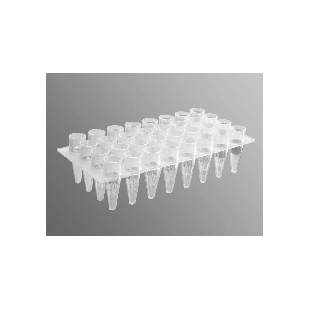 Axygen 32 Well Polypropylene PCR Microplate, Clear, Nonsterile