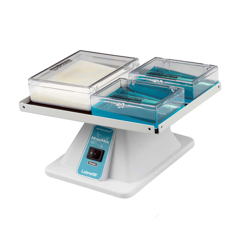 Labnet MiniMix Nutating 3-D shaker with dimpled rubber mat, 120V
