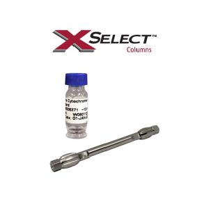 HPLC Column MV Kit XSelect Peptide CSH C18 130Å, 3.5 µm, 4.6x100 mm, 3/pkg