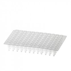 AMPLATE THIN WALL PCR PLATE Red
